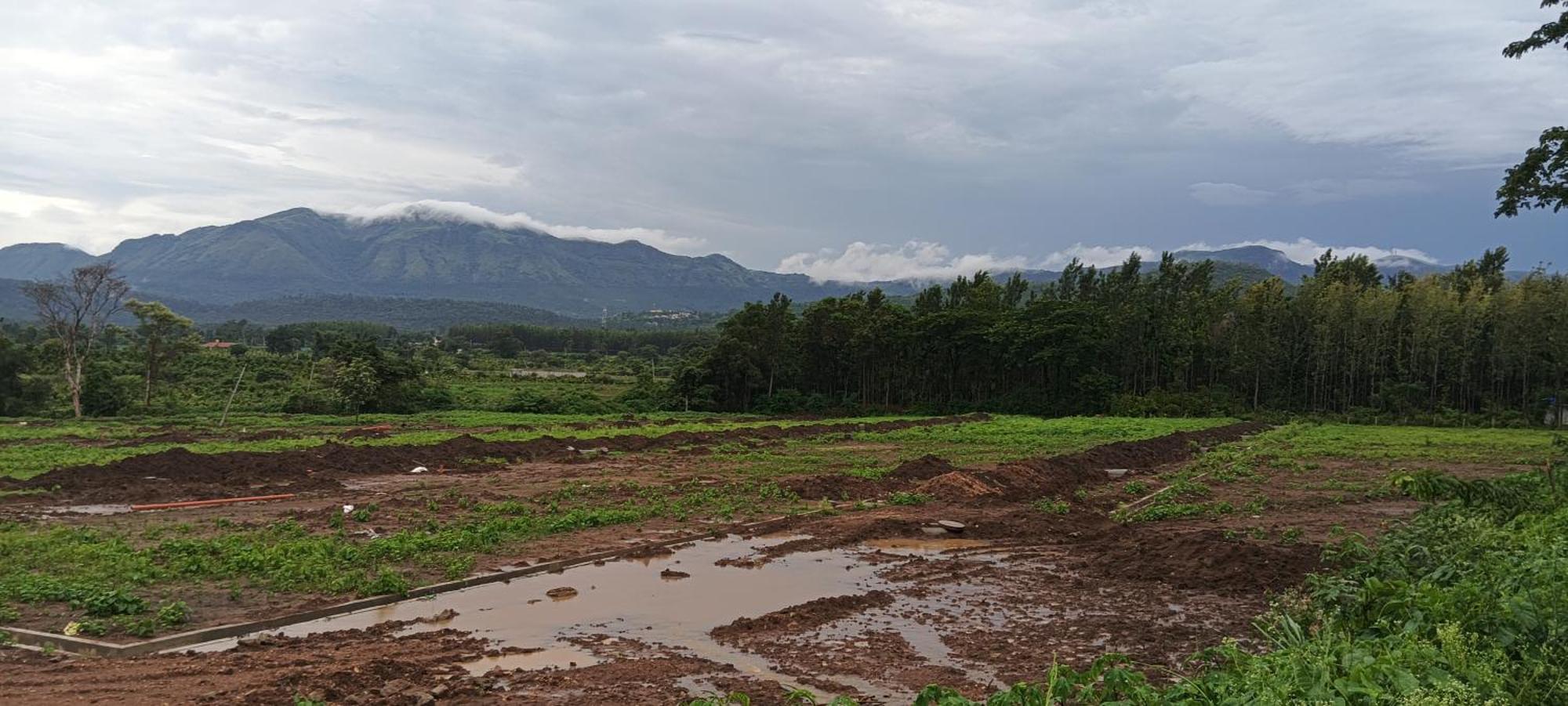 Malgudi Mane Homestay Chikmagalūr Exteriör bild