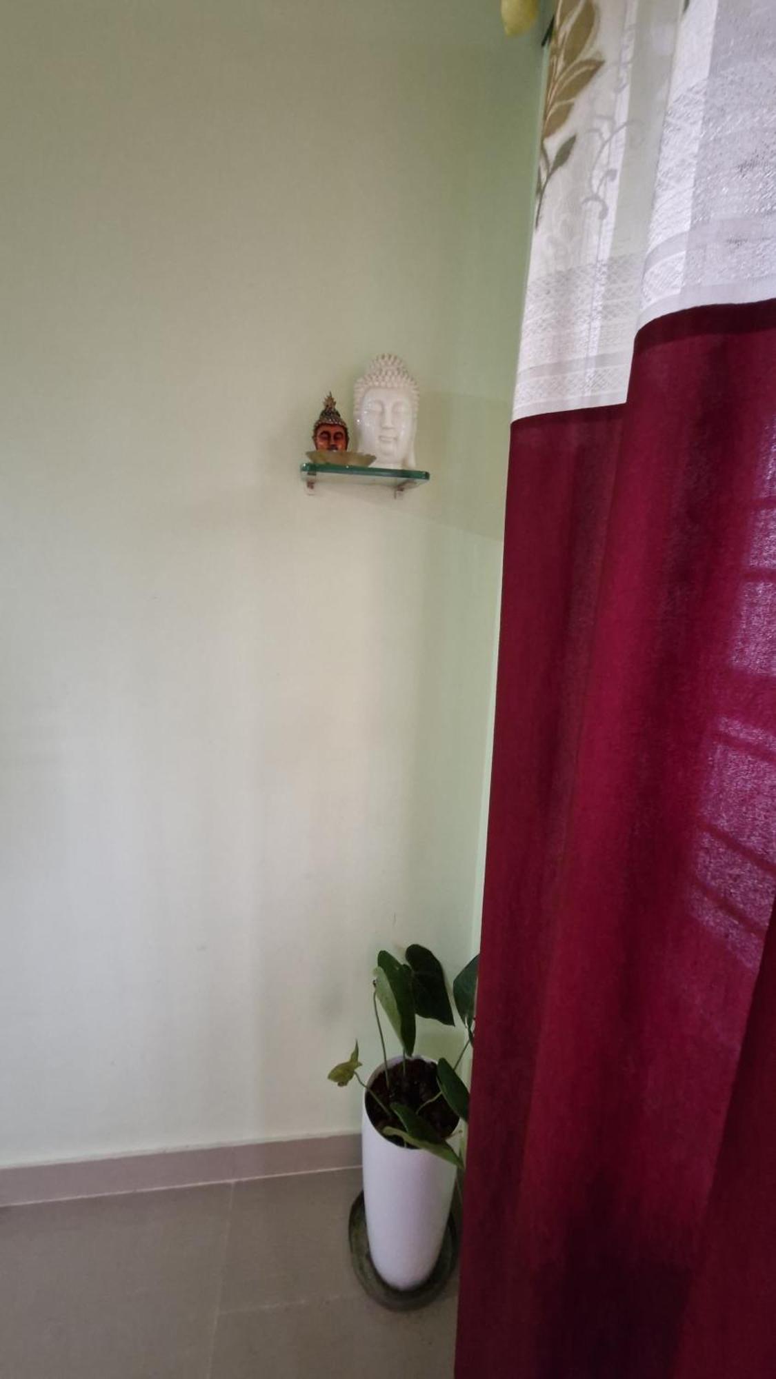 Malgudi Mane Homestay Chikmagalūr Exteriör bild