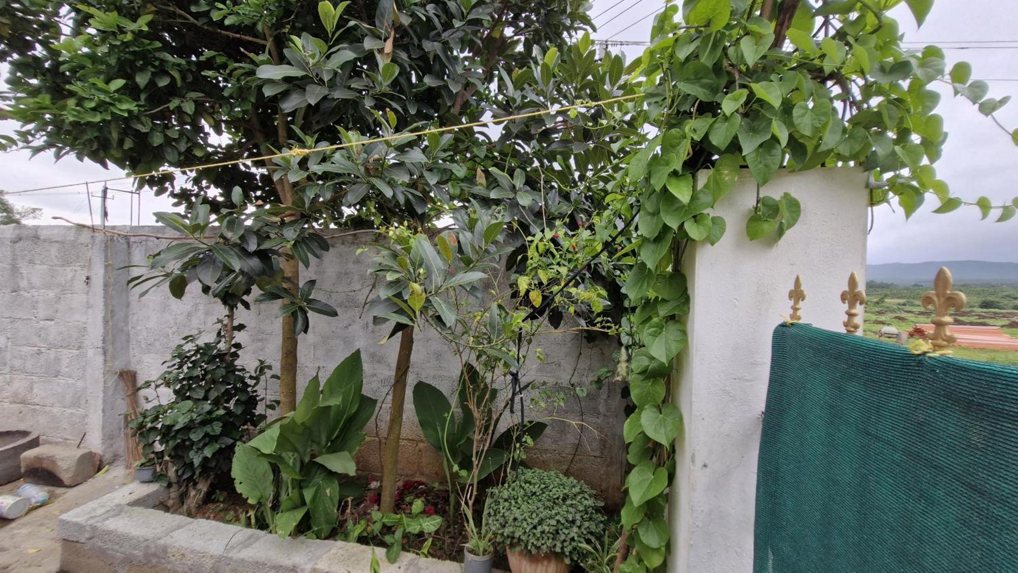 Malgudi Mane Homestay Chikmagalūr Exteriör bild